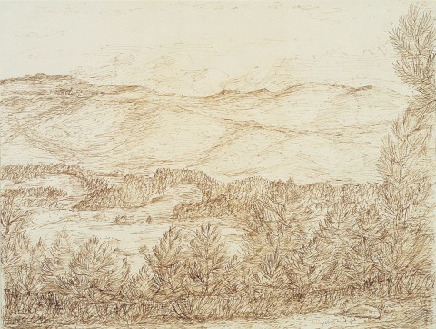 Paisaxe da Rabeda