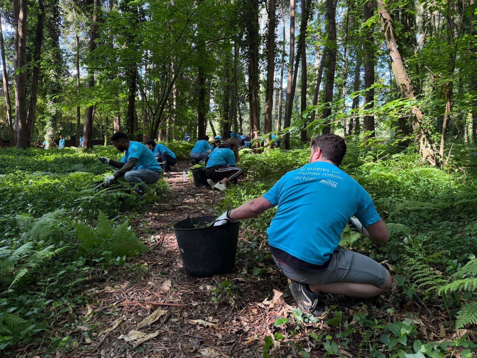 Estudiantes y profesorado del CPR Afundación de A Coruña retiran 900 kg de especies botánicas invasoras en Oleiros