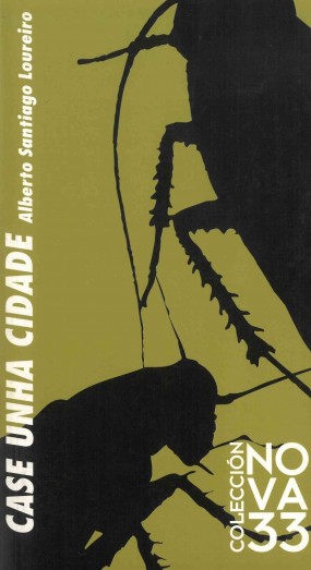 Case unha cidade